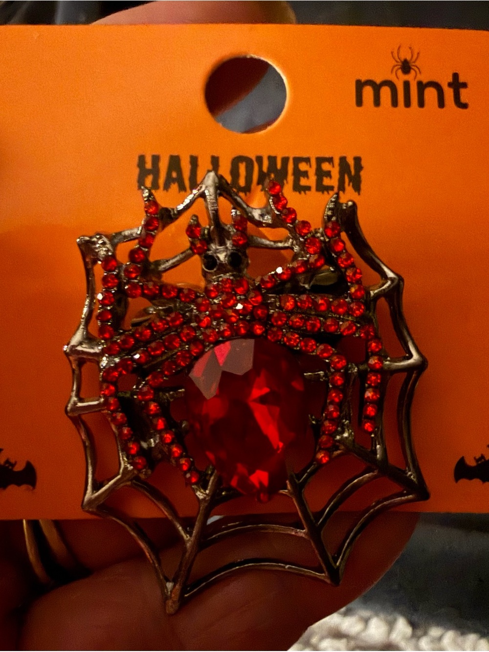 Detailed Spider Web Brooch